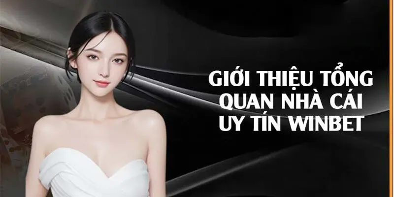 Giới thiệu nền tảng Winbet