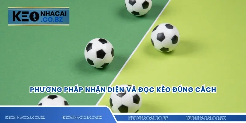 Phương pháp nhận diện và đọc kèo đúng cách