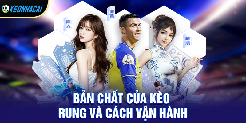 Bản chất của kèo rung và cách nó vận hành