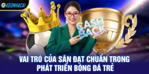 Sân Bóng Chuẩn FIFA – Tiêu Chuẩn Quốc Tế Và Những Sân Đẹp Nhất Thế Giới